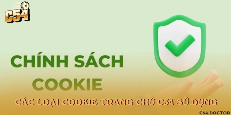 Các loại cookie được vận hành trên trang chủ chính thức