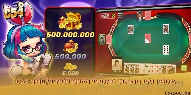 Các thuật ngữ quan trọng trong Bài phỏm