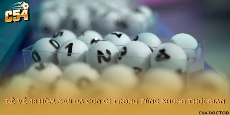 Đề về 48 hôm sau ra con gì trong từng khung thời gian