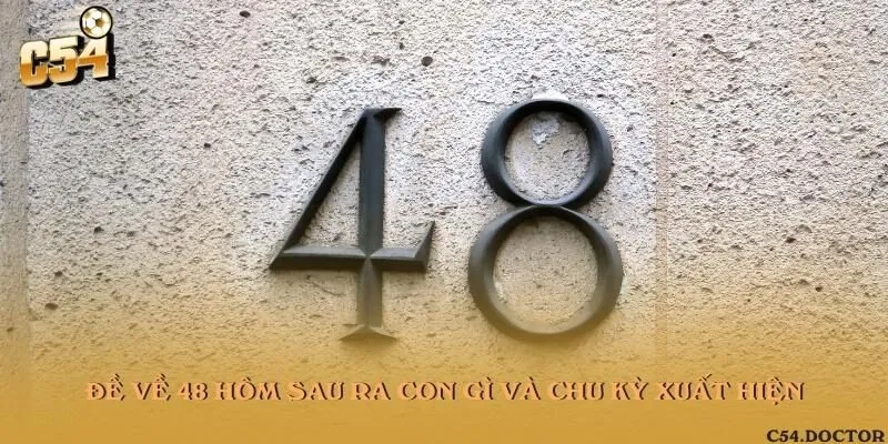 Đề về 48 hôm sau ra con gì và chu kỳ xuất hiện