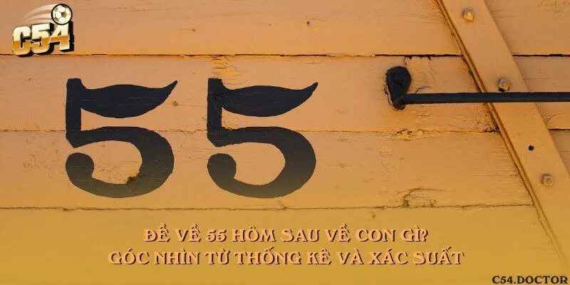 Đề về 55 hôm sau về con gì? Góc nhìn từ thống kê và xác suất