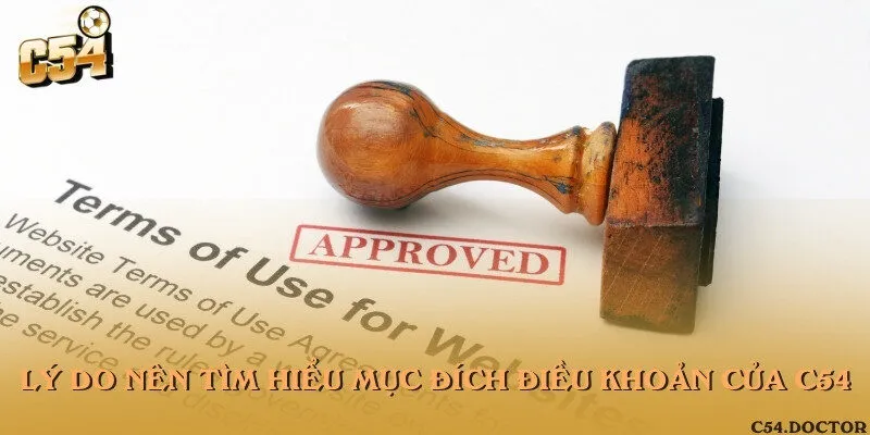 Những lý do người chơi nên tìm hiểu và cập nhật các điều khoản mới