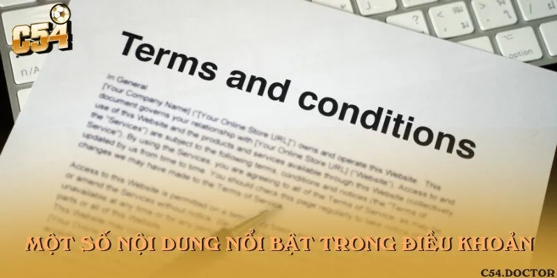 Các nội dung người dùng cần nắm trong điều khoản về sử dụng trang tin tức
